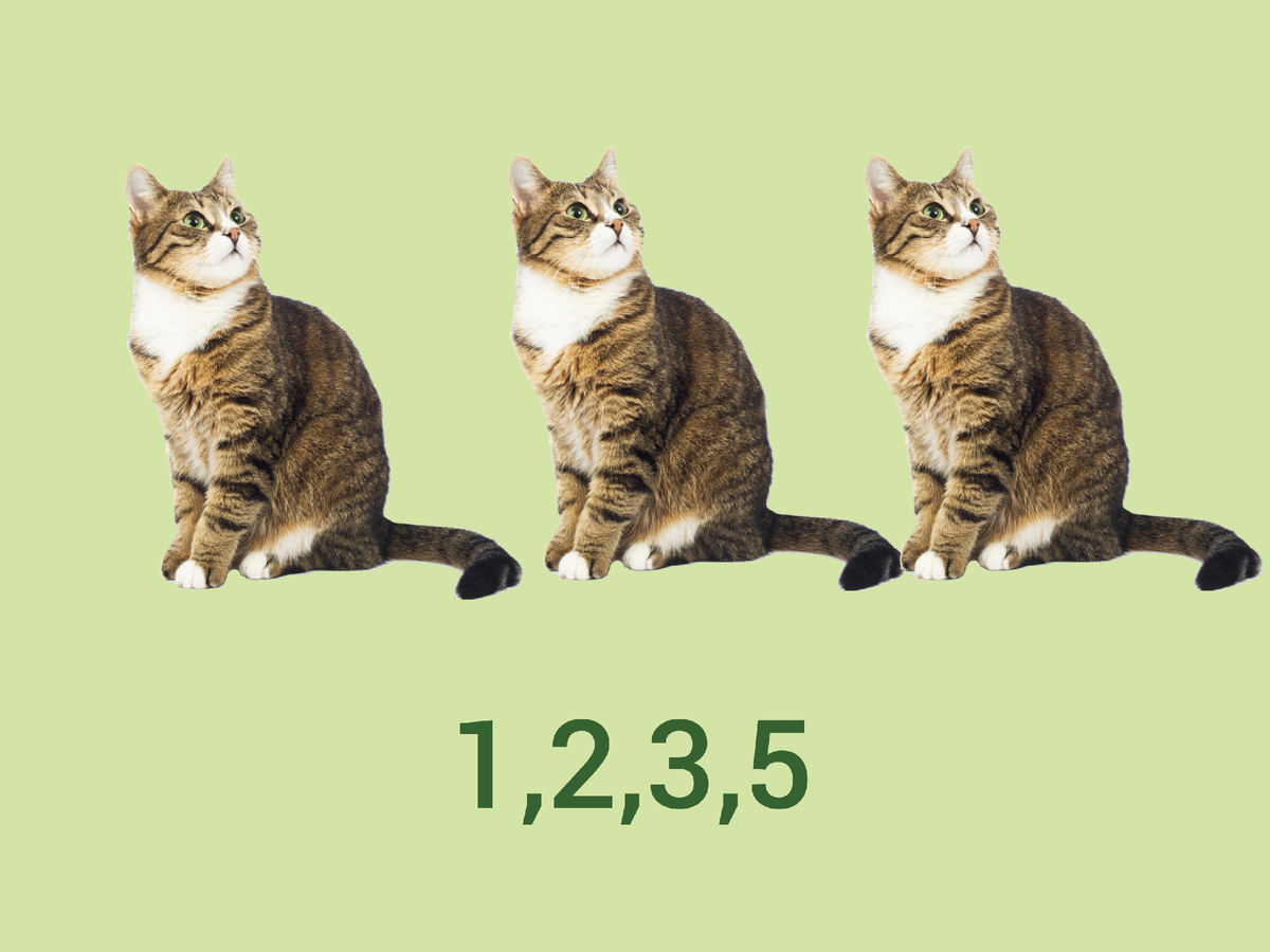 Ребусы. Французский математик