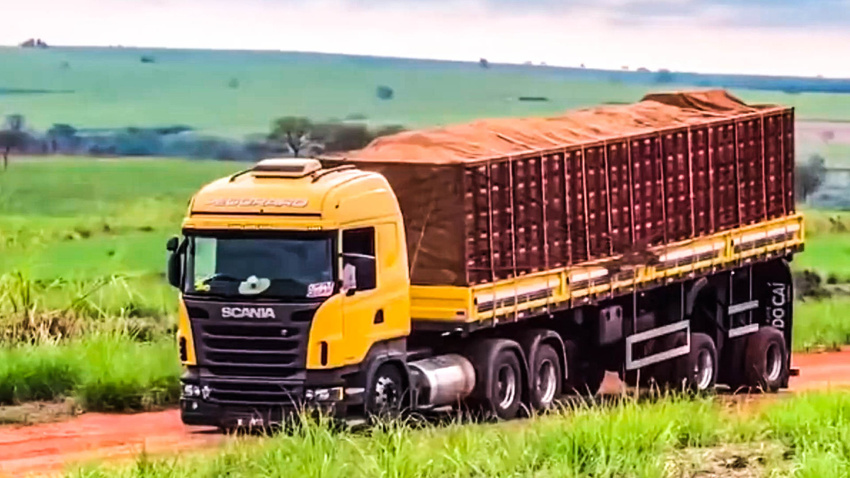 Источник фото: www.flickr.com