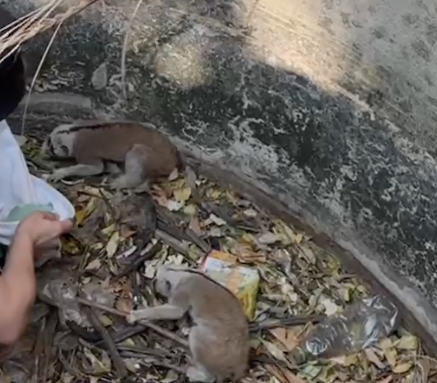 Кадр из видео