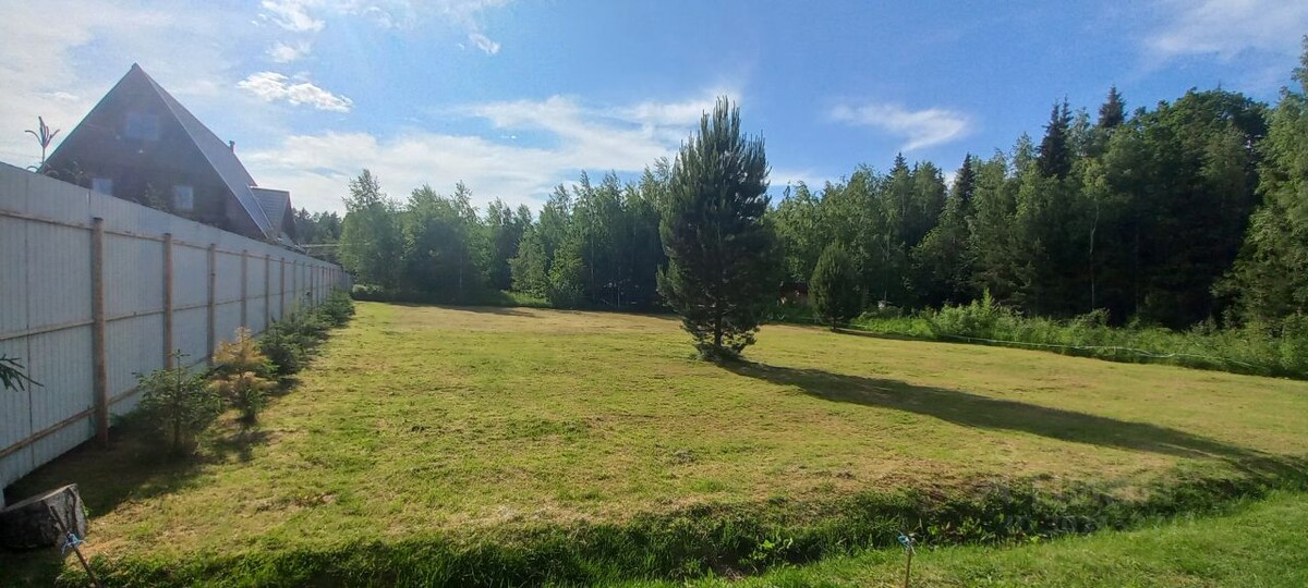 Фото с Циан. Один из участков продают до сих пор (уже третий год). Все в нем вроде бы прекрасно - большой, ровный, у леса. Но цена - как дом построить.