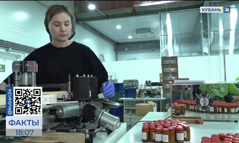    Видео канала «Кубань 24»