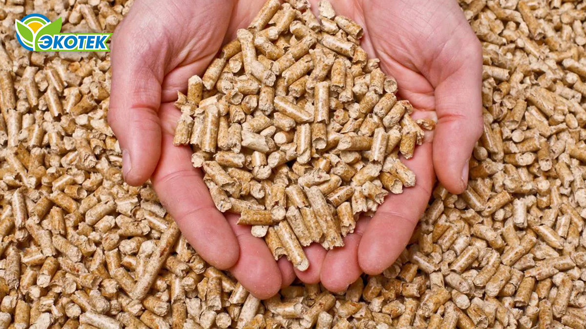 Насколько экологичны пеллеты? 