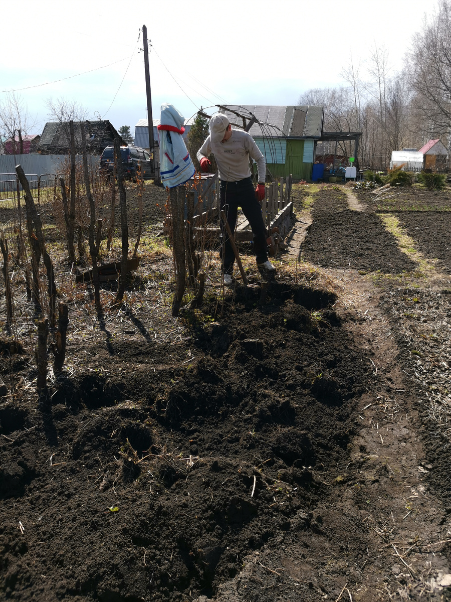 Именно на этом месте стоит сейчас теплица