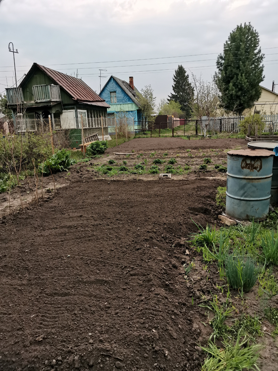 Как будто здесь никогда и не росла вишня...