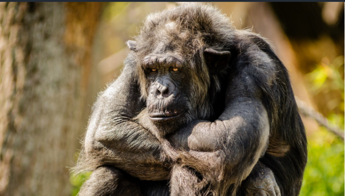 Григорий никому не советует жить в эпоху перемен / Фото: pxhere.com