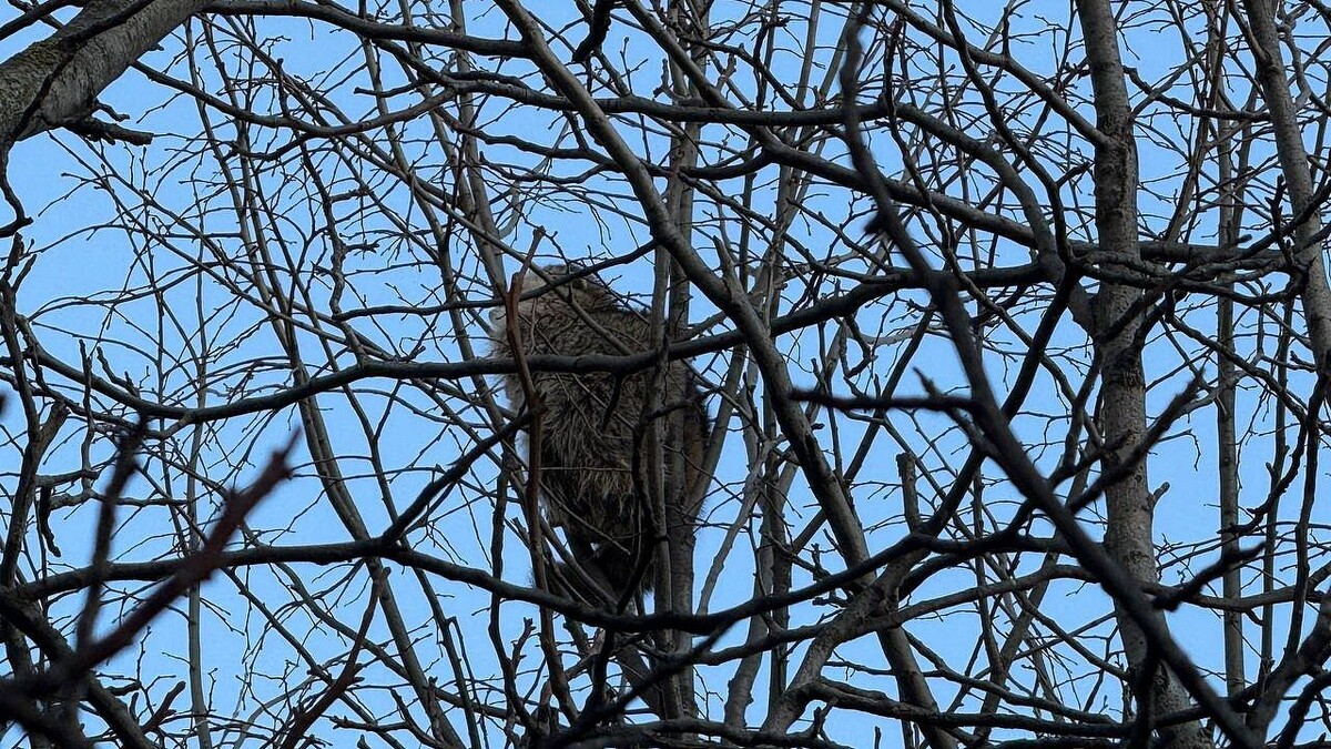    фото: телеканал «Краснодар»