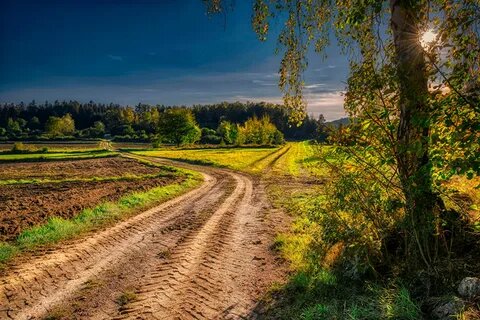 Из открытого доступа