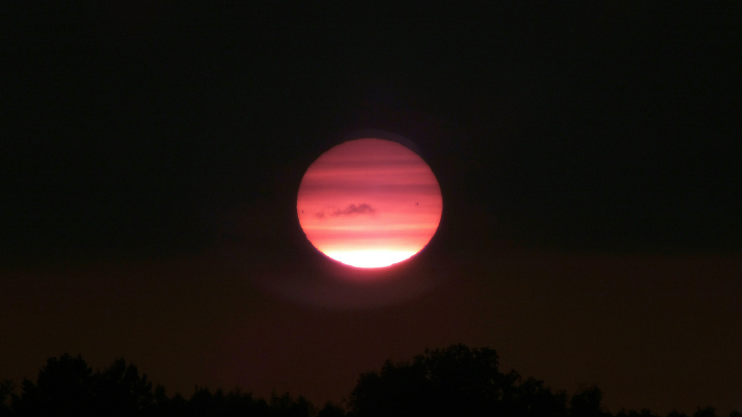    Фото: Victor Lisitsyn/Global Look Press