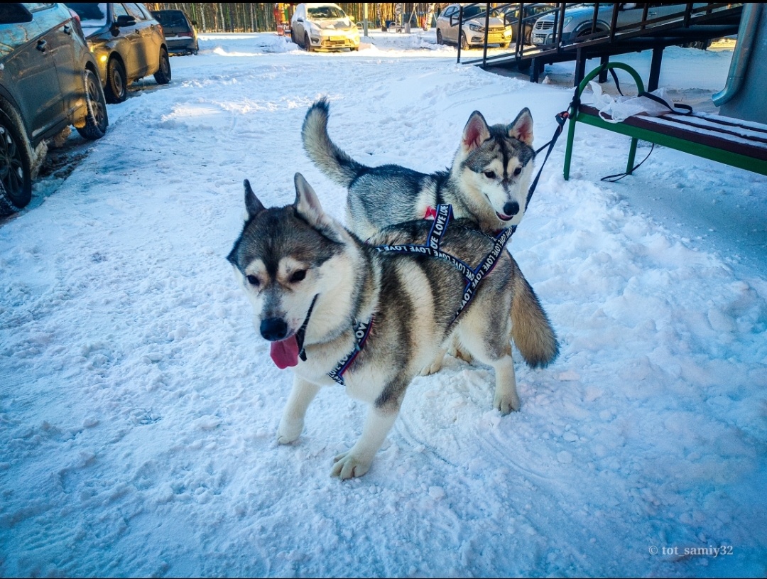 Юни и Чейси 2 года назад.
