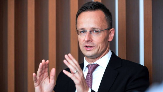    Сийярто: Украина срывала договоренности, поэтому Венгрия требовала гарантий у Еврокомиссии Андрей Бурков