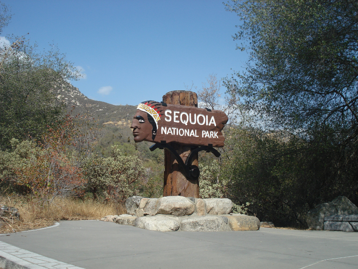 Отсюда начинается парк