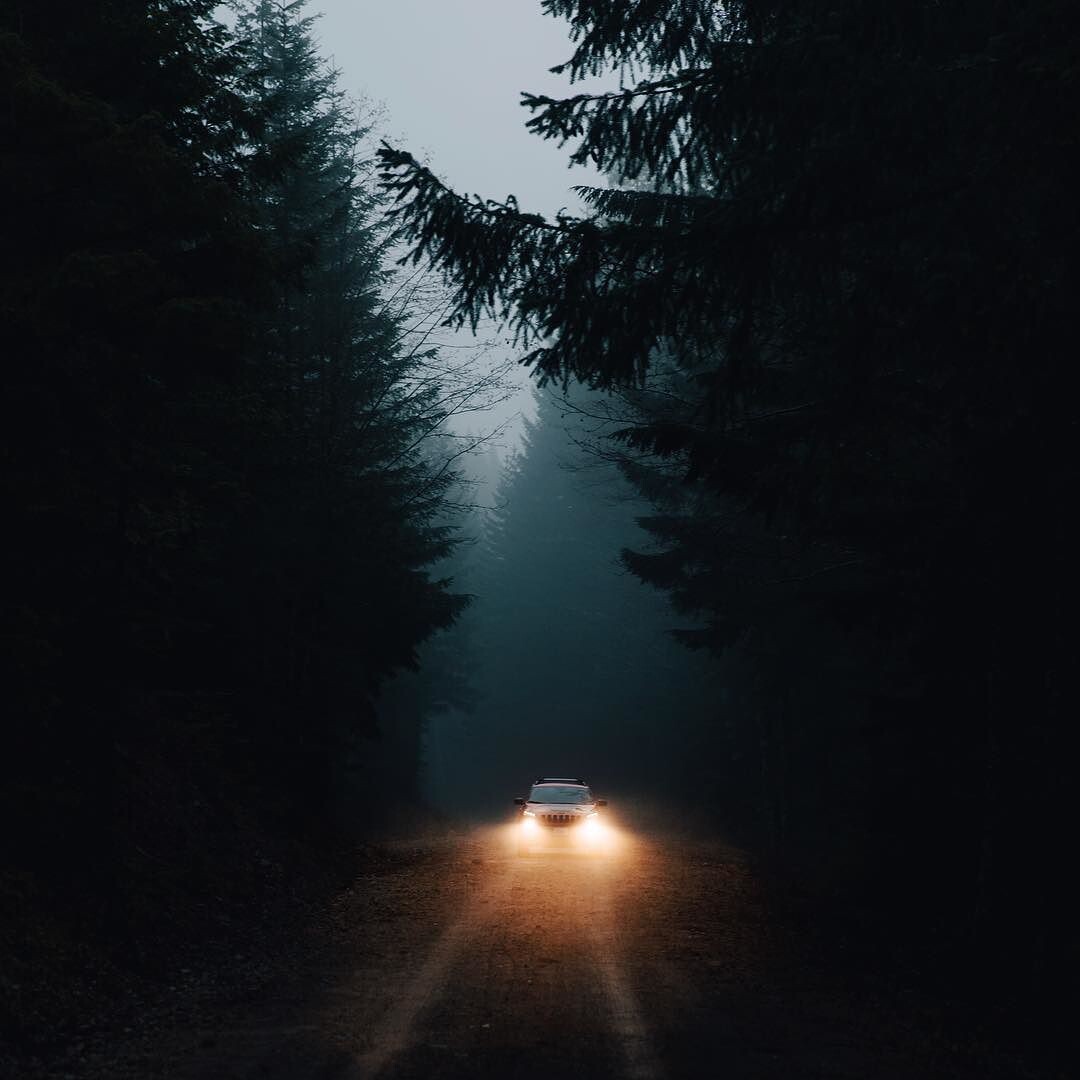 фото из интернета