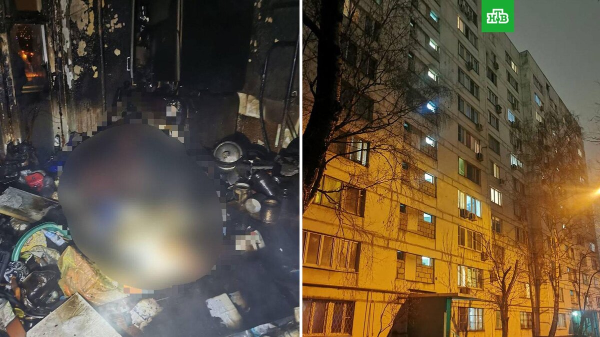    Фото: moscowproc / t.me