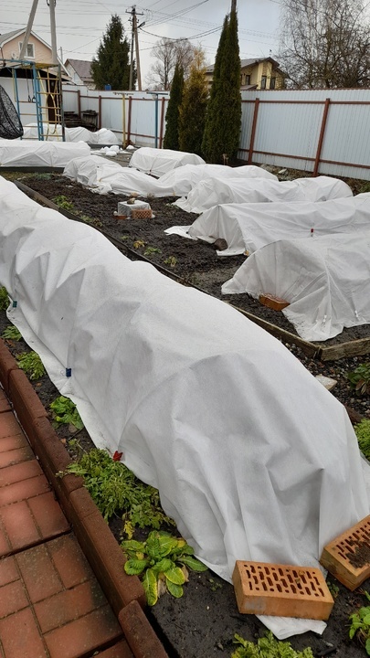 22.01.25. Фото автора 