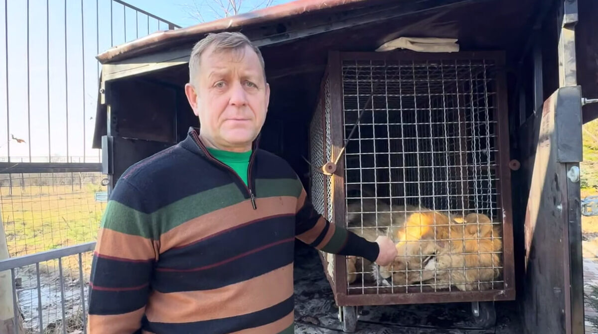 Фото: Олег Зубков/Telegram