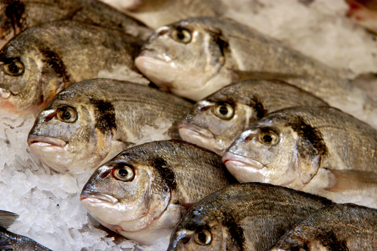 Фото: © Viktor Pogontsev/ Russian Look/ Global Look Press