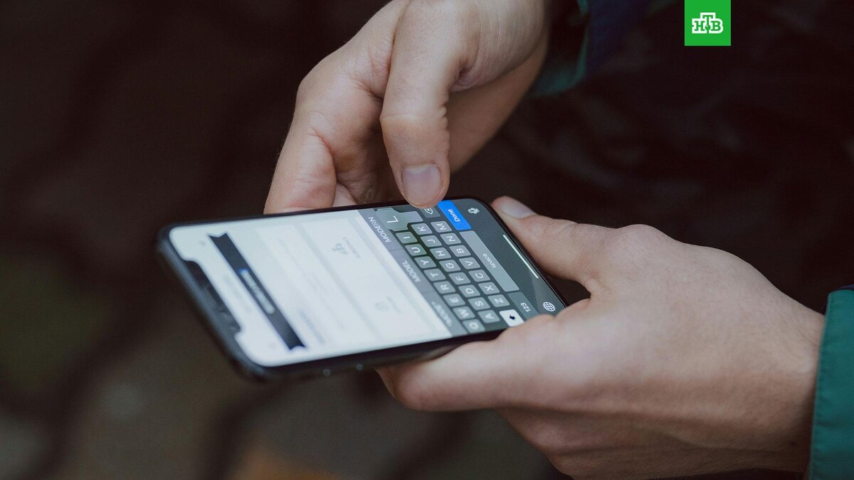    Фото: freestocks / unsplash.com