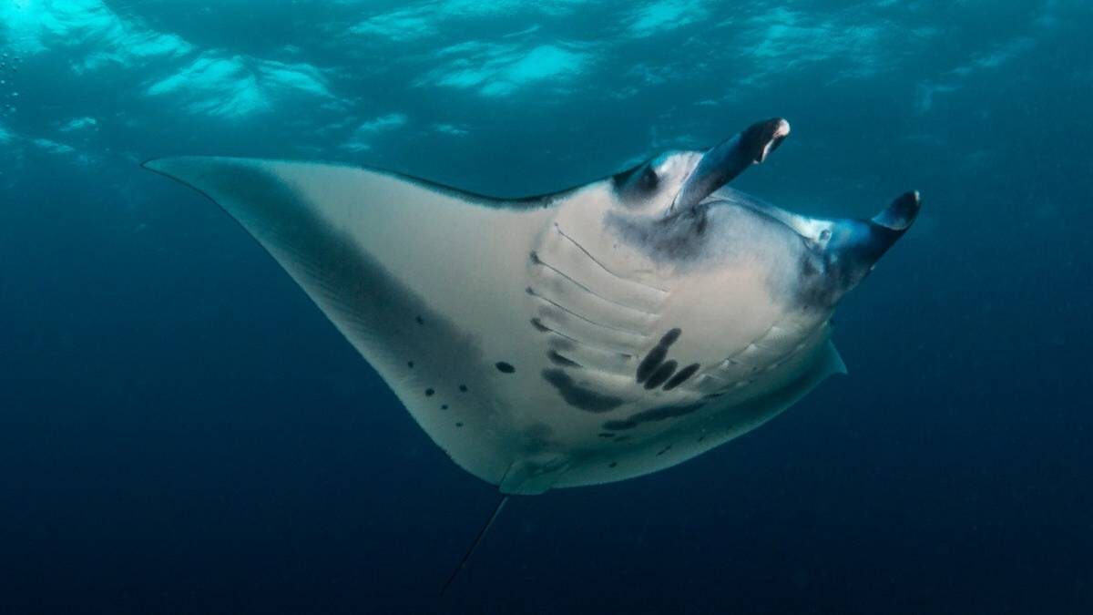    Фото: Shutterstock.com