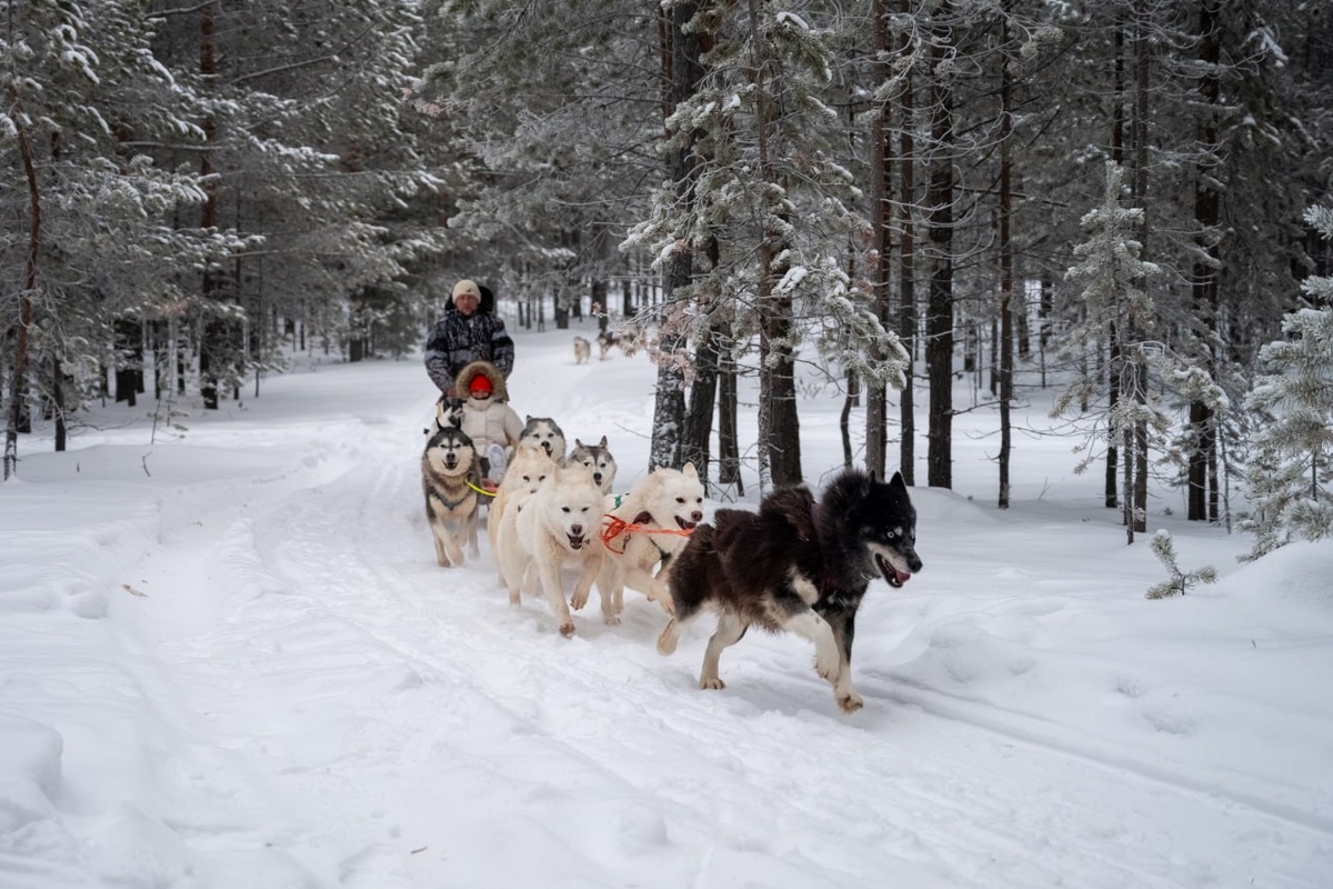 Фото: Сергей Крылов