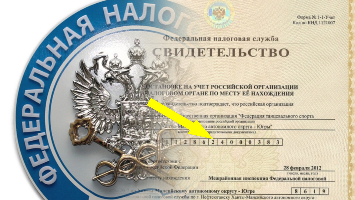    Почему ИНН 12 цифр, а не 10? Узнайте, как это связано с вашей организацией!