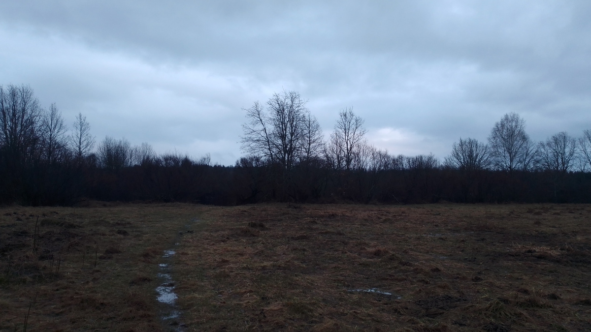 Снег сошёл полностью