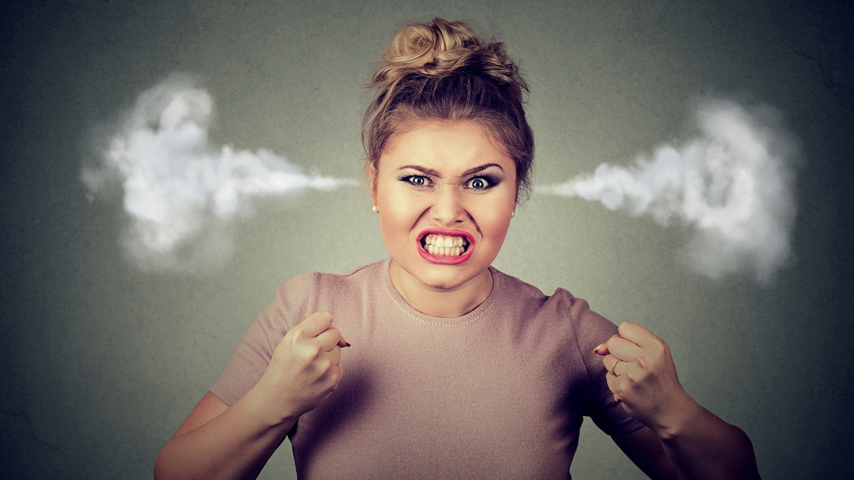 Из открытых источников Яндекс