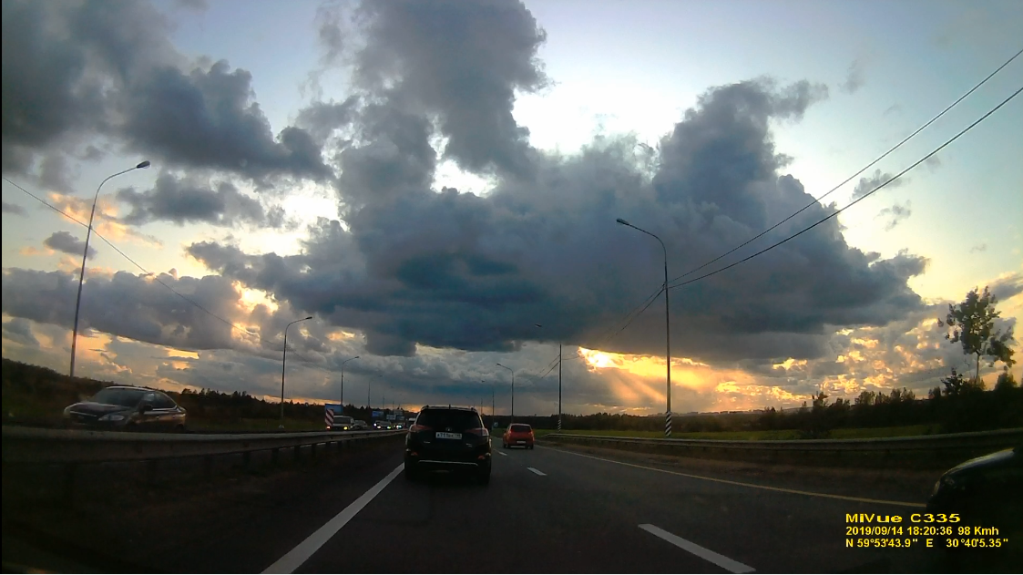 по дороге из конюшни