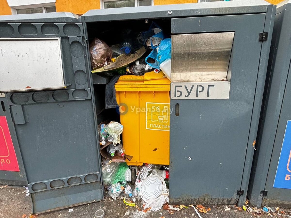    За прошлый год жители Оренбургской области пожаловались на горы мусора более тысячи раз