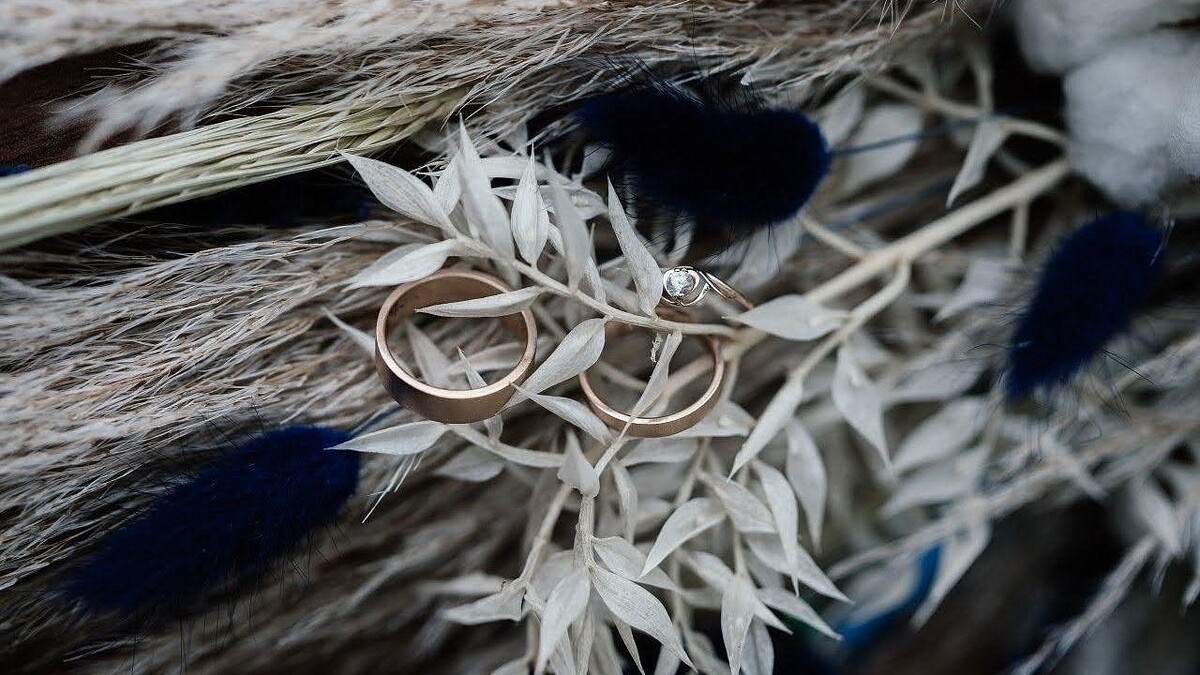    фото: Вероника Новокрещеннова