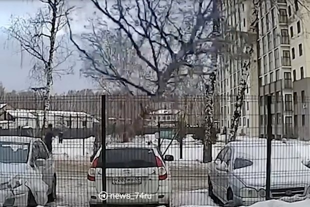    Фото: lenta.ru Георгий