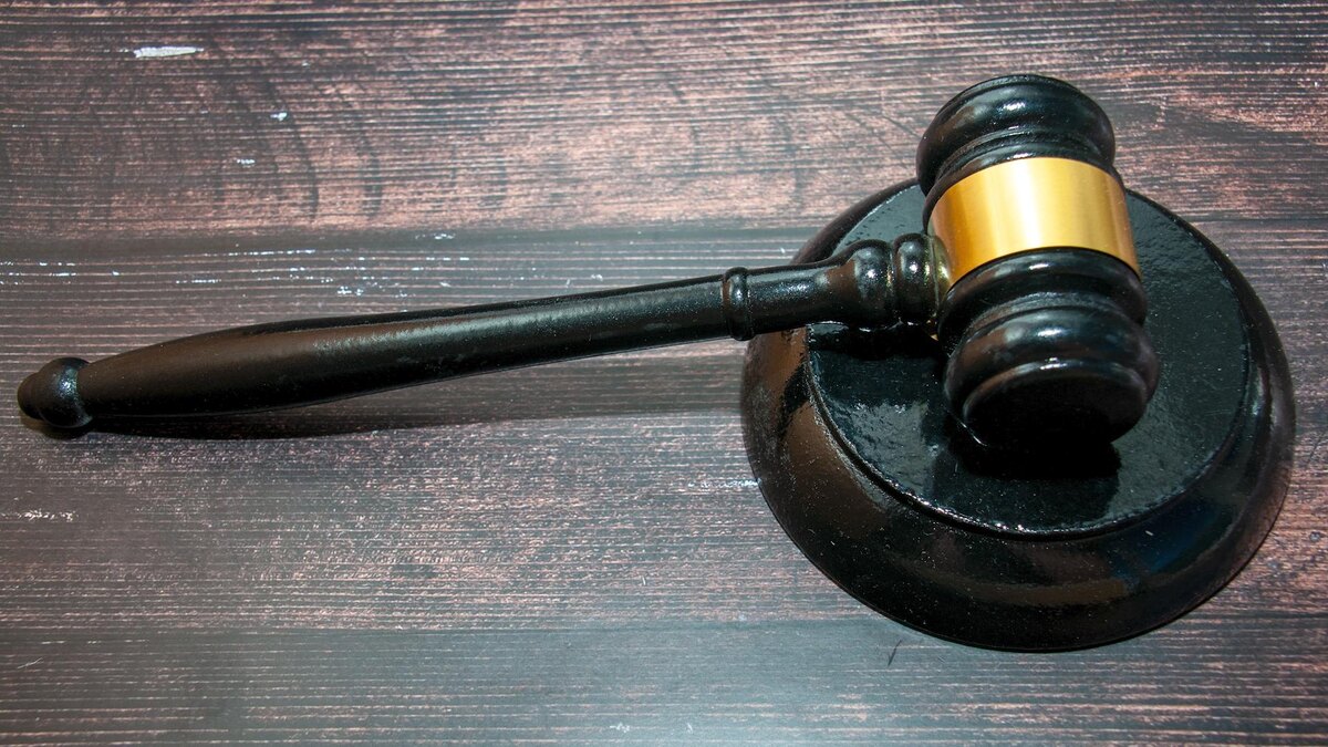    Фото: Svetlana Vozmilova/globallookpress.com