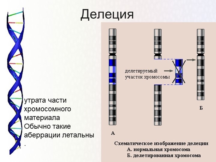 Синдром Фелана-МакДермид или "зачем нужен генетик при РАС"