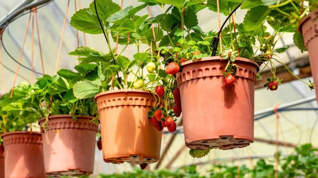 Фото из архива