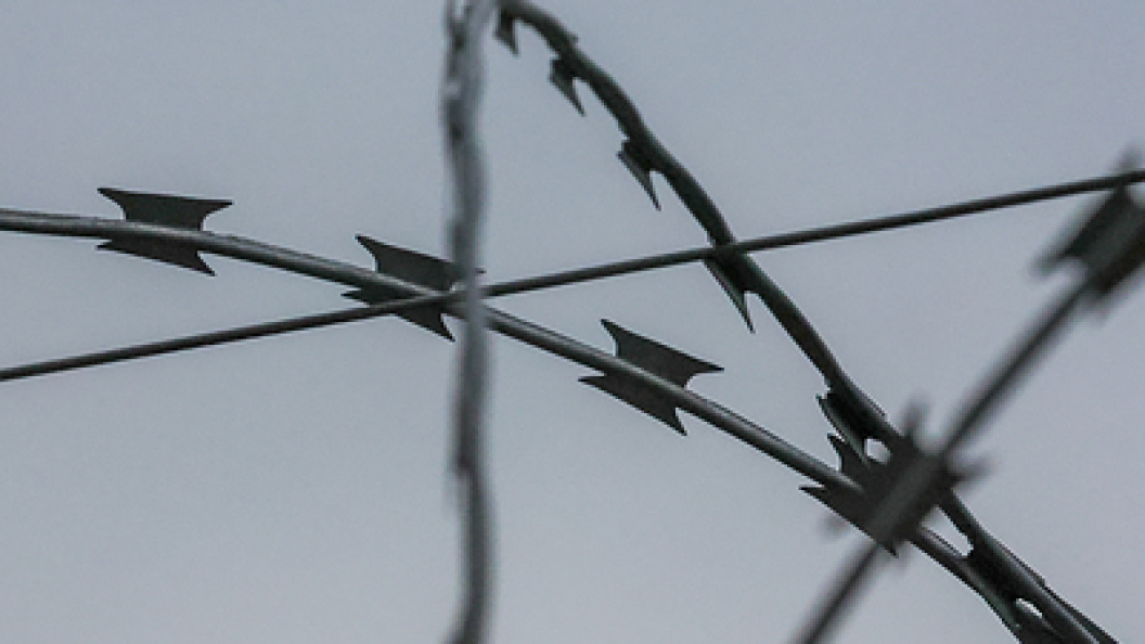    Фото: Belkin Alexey/news.ru/Globallookpress