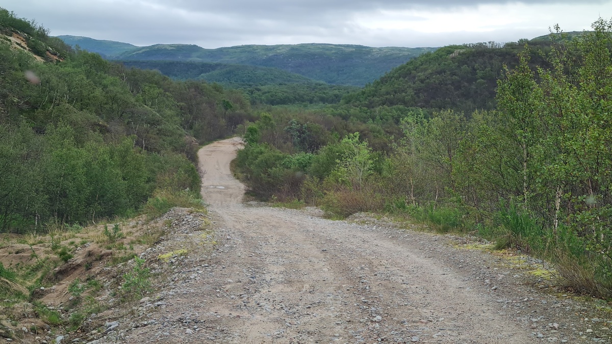 Дорога к Дальним Зеленцам