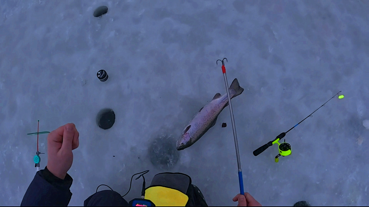 Первая рыба)