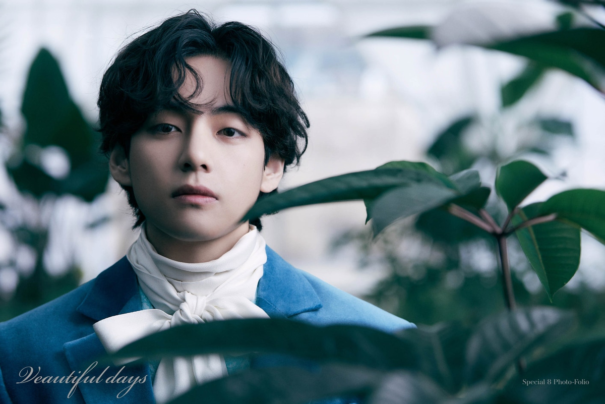 Фотофолио Тэхёна Veautiful Days