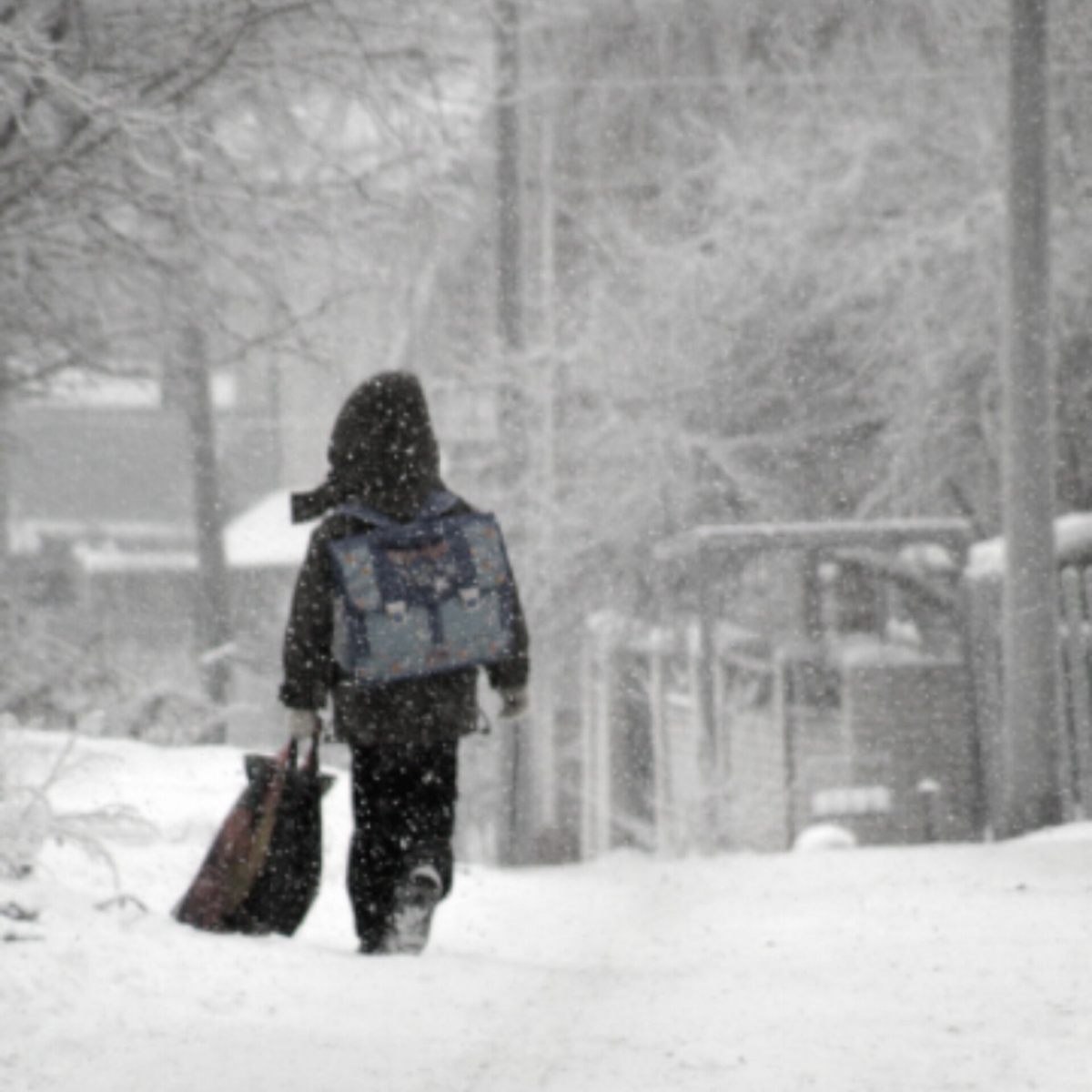 Фото с просторов всемирной паутины.
