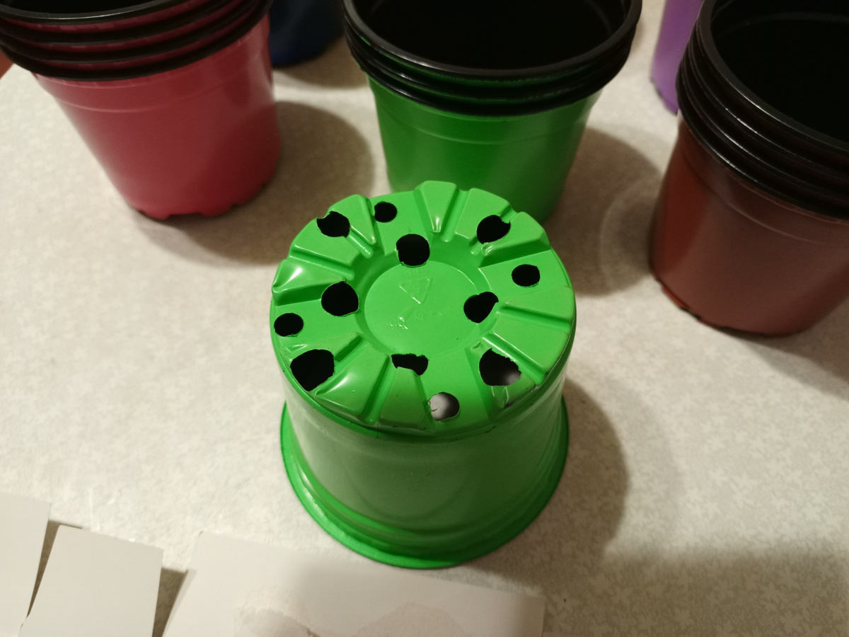 Фото автора. Дренажные отверстия на дне горшочка.