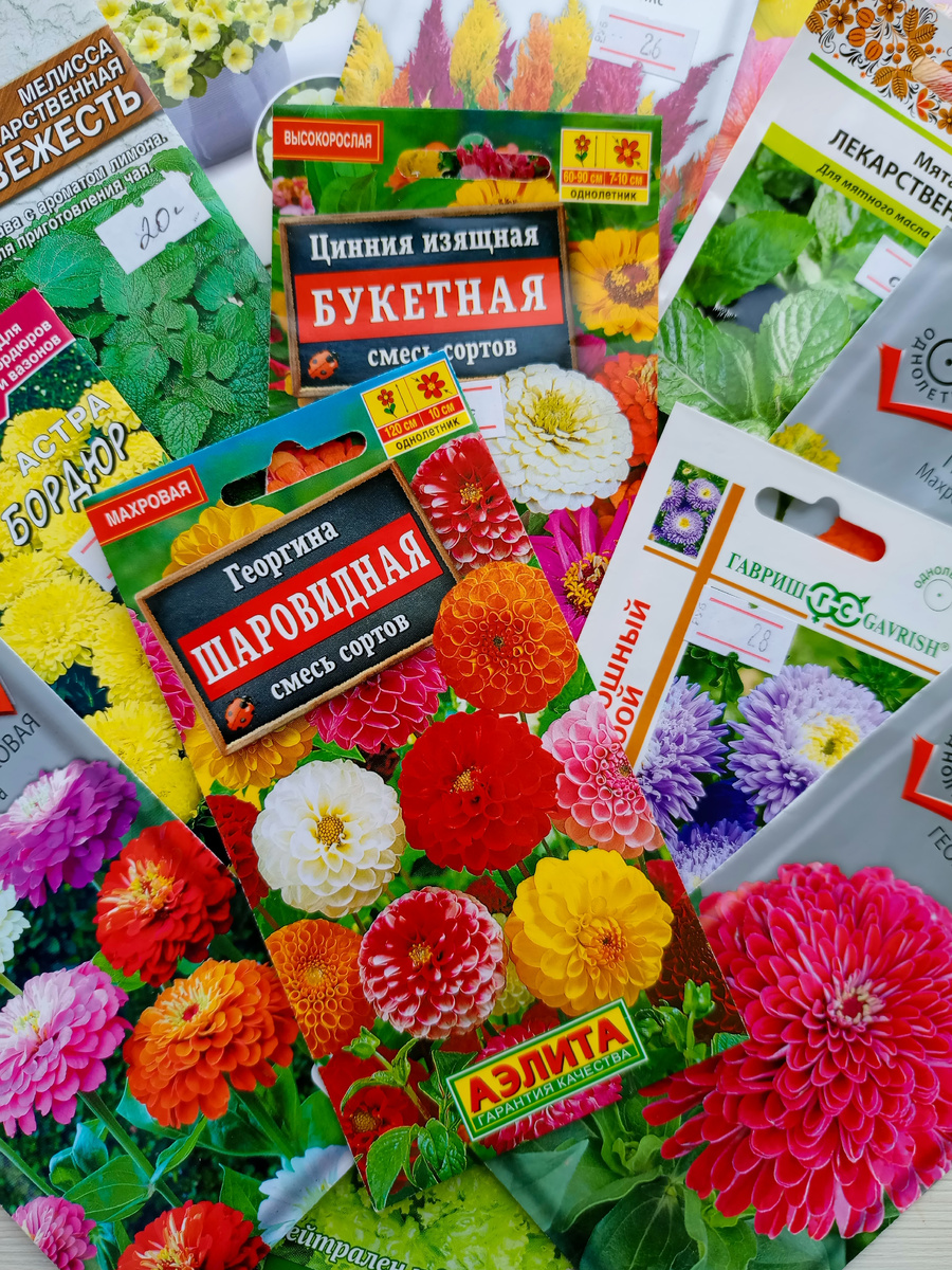 Итак, участок есть, и я начала думать, где и что я посажу. Решила: гортензиям - быть, хвойным - быть, пионам - быть... Дальше начала смотреть в интернете, у кого и что растёт в садах-огородах. От изобилия красоты хаотично начала скупать однолетники... Многие, в начале своего пути, я думаю, столкнулись с такими желаниями "всё и сразу".