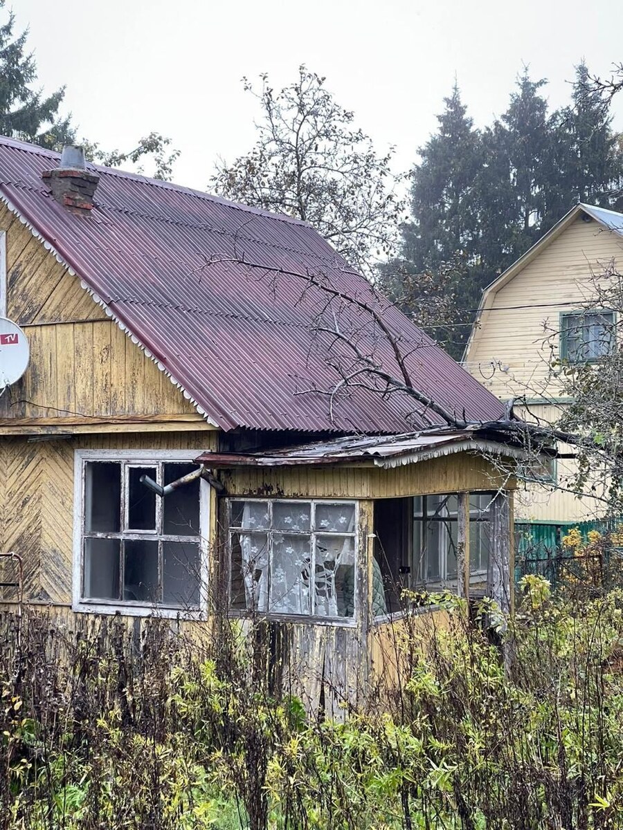 Участок зарос сорняками и кустарниками. А сам дом облюбовали бездомные и мародеры
