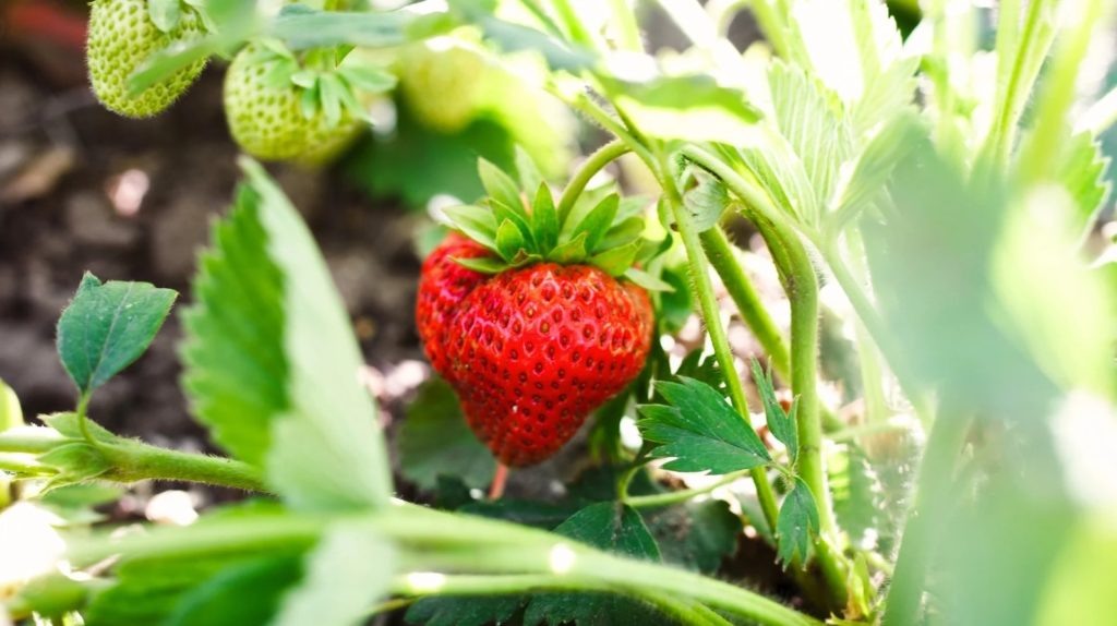 Фото из архива