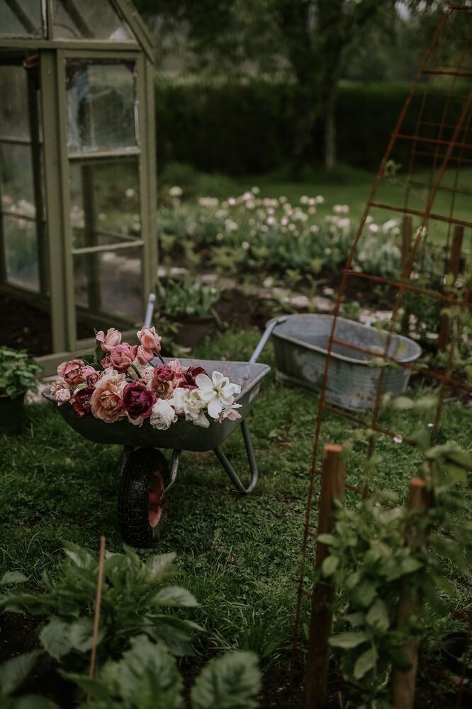 Применение магии растений в современной жизни 🌿✨