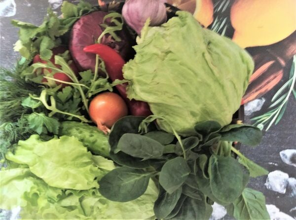    Фото: Екатерина Иванова. UG.RU