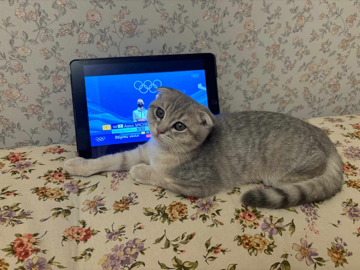 Смотрим прокат Анны Щербаковой. На фото малышке Майе 3-4 месяца.