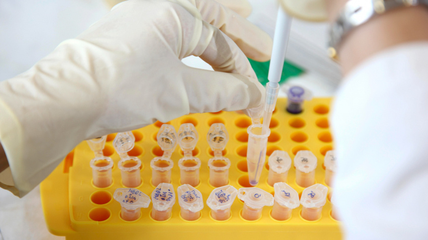    Фото: www.globallookpress.com/Jochen Tack