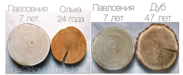 Наглядное сравнение