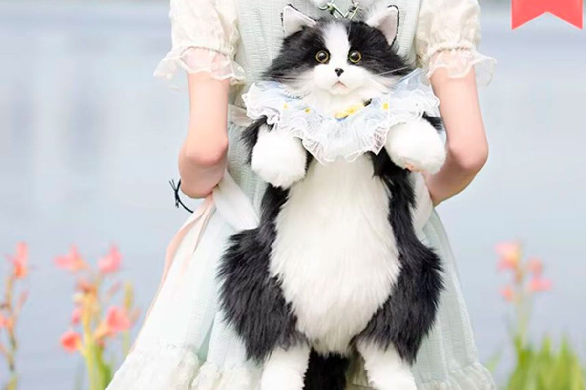    Фото: Aliexpress.com