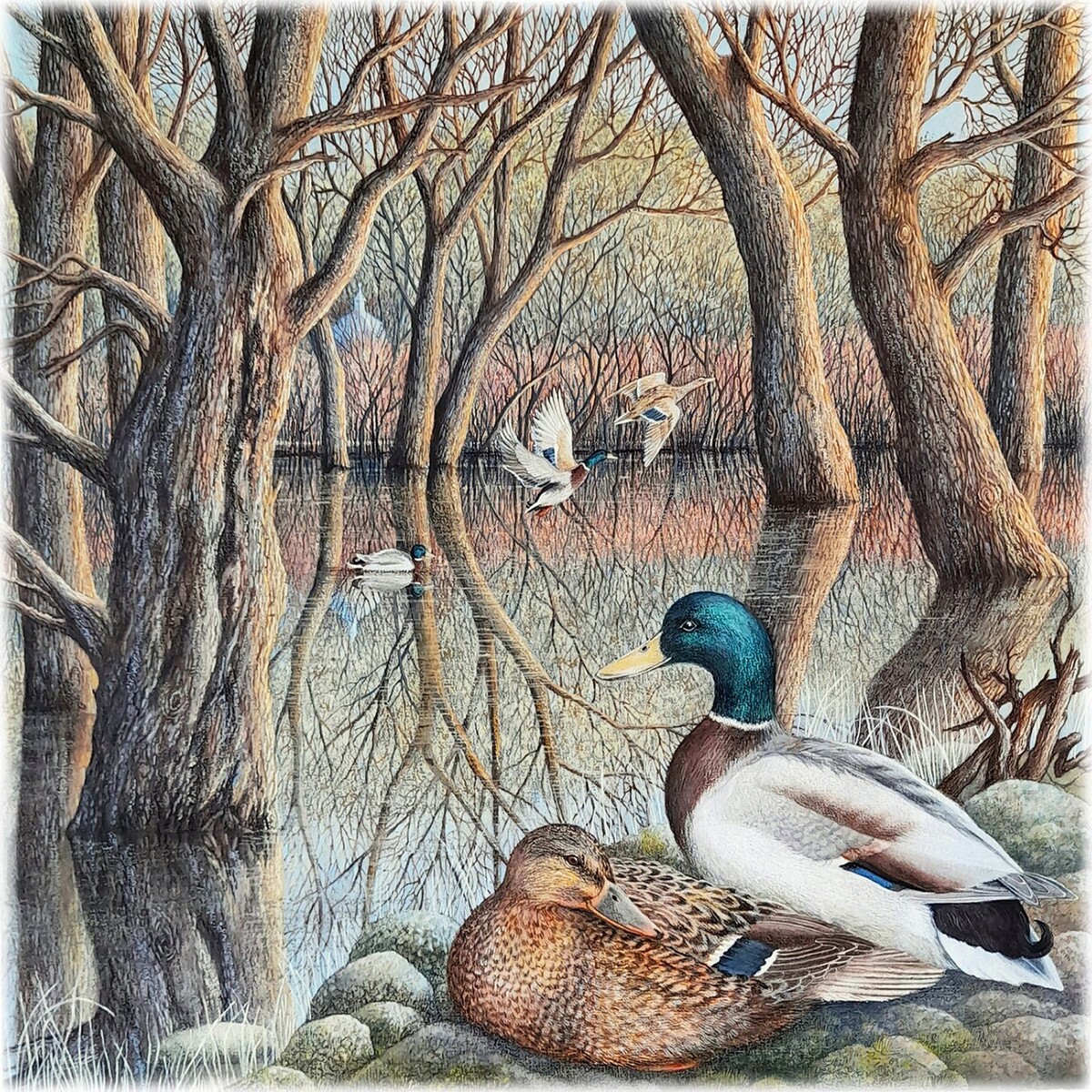 � ���� ���������. ����� � ������������ �����. ������, ��������� �������. 40�40 ��. 2023 �.