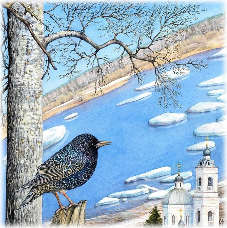 � ���� ���������. �������.